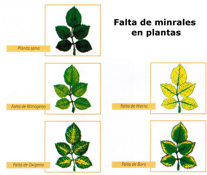 faltaminerales_2