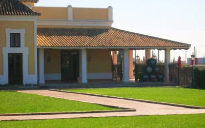 La rapidez y la impaciencia en jardinería