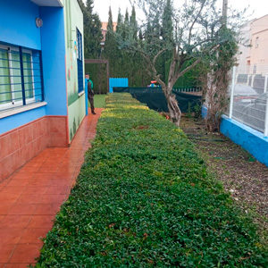 jardineros para comunidades y urbanizaciones