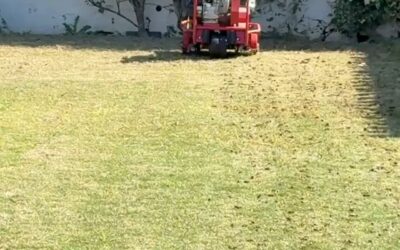 El espejismo de los jardines en primavera