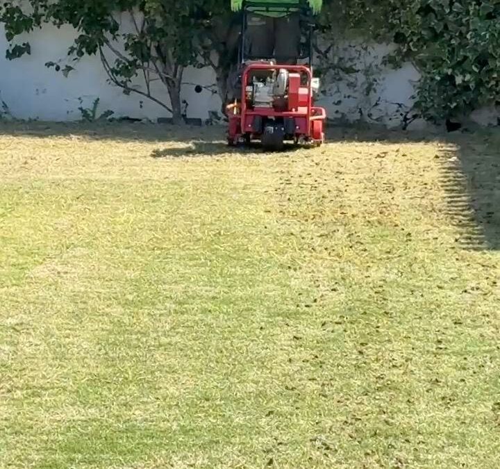 El espejismo de los jardines en primavera